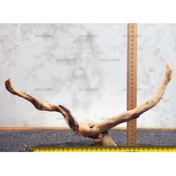 Корінь Азалії №54 для акваріума Корінь Азалії №54 для акваріума