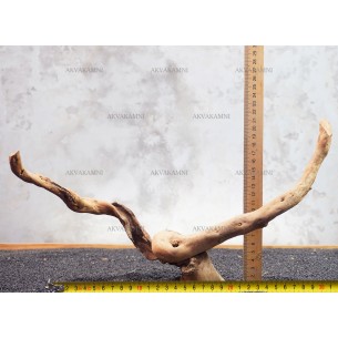 Корень Азалии №54 для аквариума