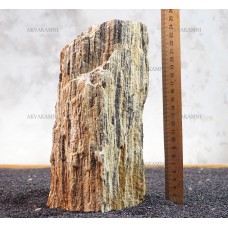 Древесный камень 205 (3.7kg)