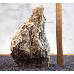 Древесный камень 207 (3kg)