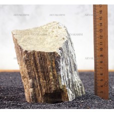 Древесный камень 208 (~1kg)
