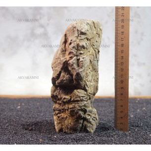 Карпатский камень 297 (1.9kg)