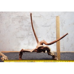 Корінь кораловий №110 для акваріума