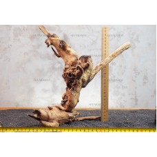 Корень коралловый №114 для аквариума