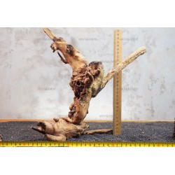 Корінь кораловий №114 для акваріума