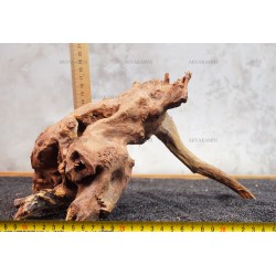 Корінь кораловий №115 для акваріума
