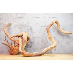 Корень Азалии №58 для аквариума