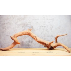 Корень Азалии №59 для аквариума