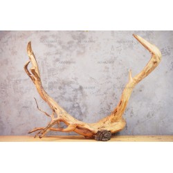 Корінь Азалії №60 для акваріума Корінь Азалії №60 для акваріума