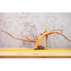 Корень Азалии №62 для аквариума