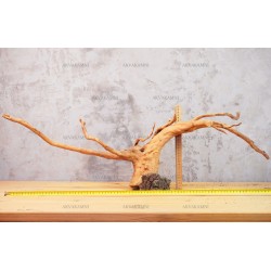 Корінь Азалії №62 для акваріума Корінь Азалії №62 для акваріума