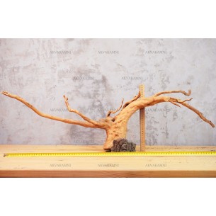 Корень Азалии №62 для аквариума