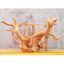 Корень Азалии №64 для аквариума