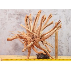 Корень Азалии №65 для аквариума