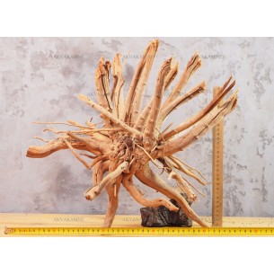 Корень Азалии №65 для аквариума