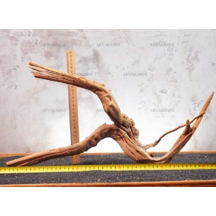 Корень Азалии №66 для аквариума