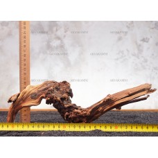 Корень Азалии №77 для аквариума