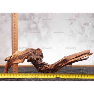 Корень Азалии №77 для аквариума