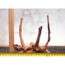 Корень Азалии №85 для аквариума