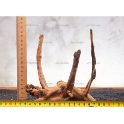 Корень Азалии №85 для аквариума