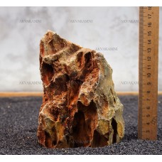 Камень Дракон 125