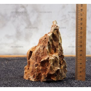 Камень Дракон 129