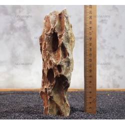 Камінь Дракон 154