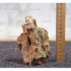 Камінь Дракон 173