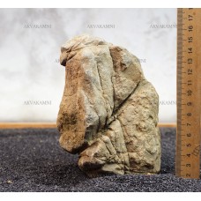 Карпатский камень 12 (1.5kg)