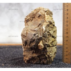 Карпатський камінь 15 (1.4kg)