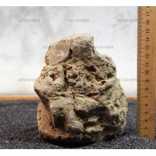 Карпатский камень 21 (1.5kg)