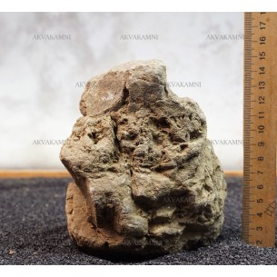 Карпатский камень 21 (1.5kg)