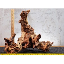 Корінь кораловий №123 для акваріума