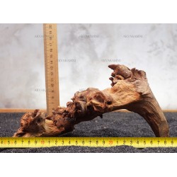 Корінь кораловий №142 для акваріума