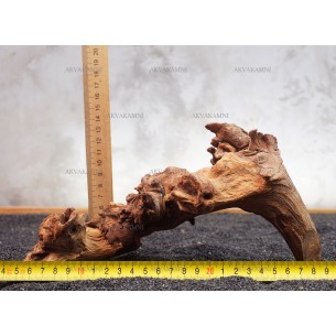 Корень коралловый №142 для аквариума
