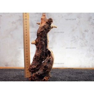 Корень коралловый №146 для аквариума