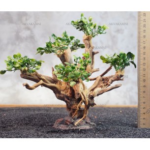 Бонсай B186 (высота 20см) для аквариума