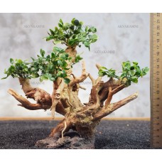 Бонсай B189 (высота 20см) для аквариума