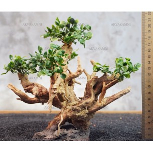 Бонсай B189 (высота 20см) для аквариума