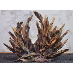 Цільна композиція №270 для акваріума