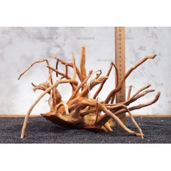 Корень Азалии №90 для аквариума