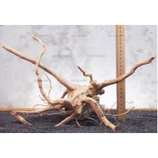 Корень Азалии №94 для аквариума