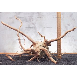 Корень Азалии №94 для аквариума