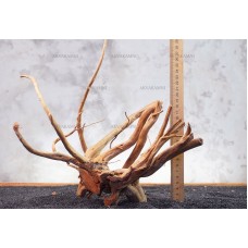 Корень Азалии №99 для аквариума