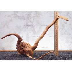 Корінь Азалії №101 для акваріума Корінь Азалії №101 для акваріума