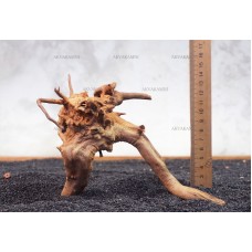 Корень Азалии №110 для аквариума