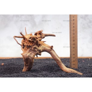 Корень Азалии №110 для аквариума