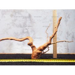 Корінь Азалії №113 для акваріума Корінь Азалії №113 для акваріума