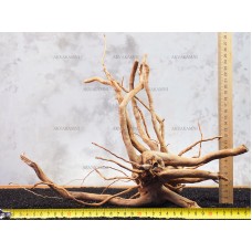 Корень Азалии №114 для аквариума