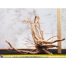Корінь Азалії №114 для акваріума Корінь Азалії №114 для акваріума